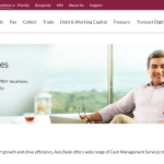 Tallyman Axis Bank Login: How to Access The Collections Axis Bank Platform